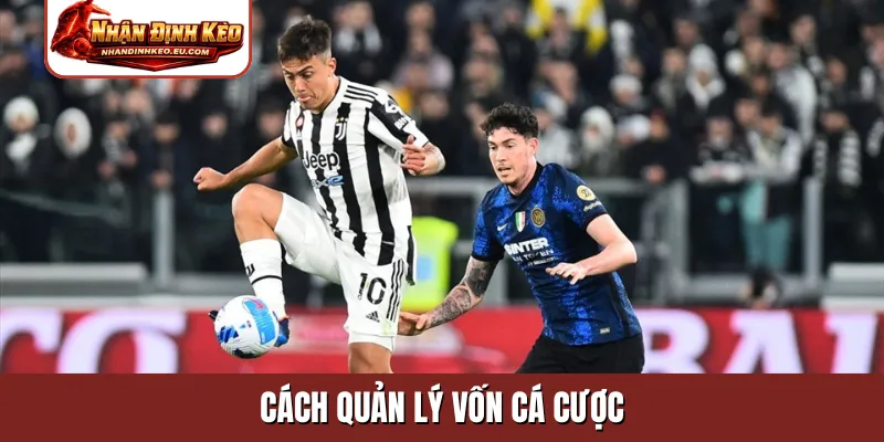 cách quản lý vốn cá cược
