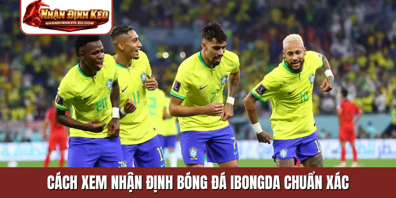 Cách xem nhận định bóng đá ibongda chuẩn xác