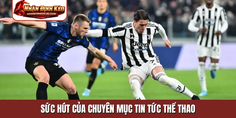 Sức hút của chuyên mục tin tức thể thao